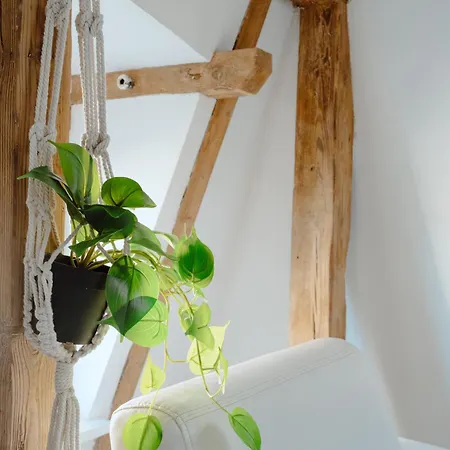 شقة Rynek Wildecki 2-bedroom